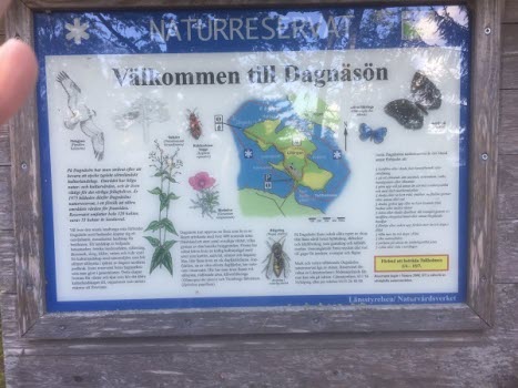 Vandring Dagnäsön 191004