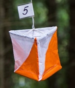 17-18 juni: Förbundsmästerskapet i orientering