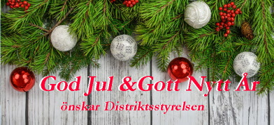 Distriktsstyrelsen önskar God Jul och Gott Nytt År