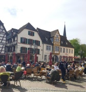 Smakresan 24 september, Pfalz
