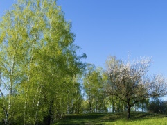 Gökotta 14 maj kl 08.00