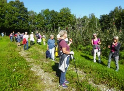 Ny promenad med frilufsarna: Äpplen och honung vid Ramsund