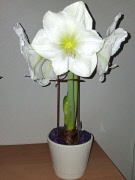 Månadsmöte 18 december