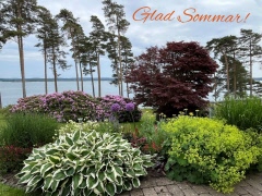 Glad midsommar till er alla!