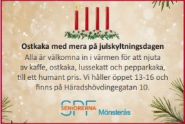 Julskyltningen