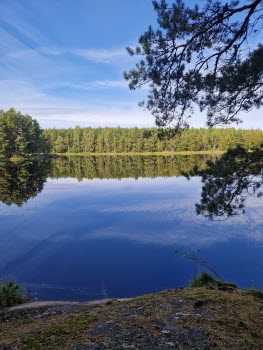 240917 Vandring vid Gälkhyttedammen Sörmlandsleden