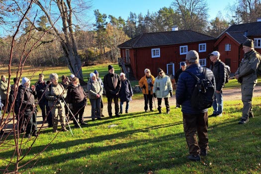 241108 Vandring i Koppartorp