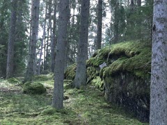 Långvandring i Flemingsbergsskogens naturreservat