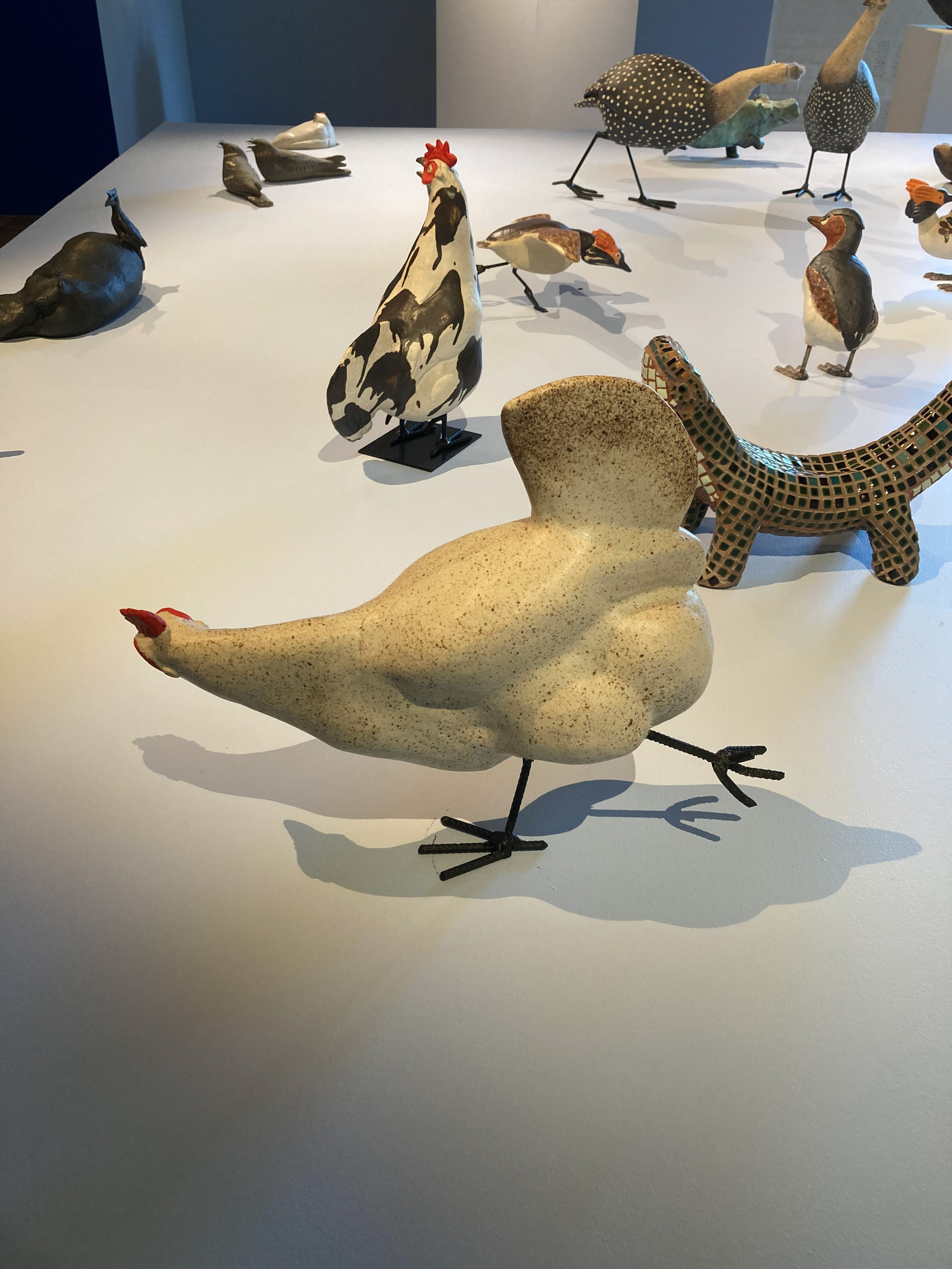 På museet fanns bland mycket annat, en tillfällig utställning om Martin Nilsson - Anpassat liv, om hur fåglar anpassar sig till sina nya livsbetingelser