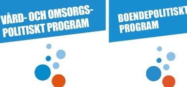Seniorpolitiska program