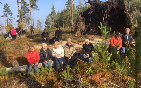 221014 Vandring runt Stavsjön