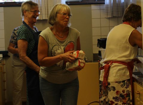 20160915 Historielektion och försäkringsinfo