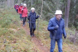 Referat från vandring 6 nov