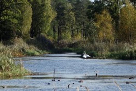 201009 Vandring på Brannäs våtmark, Oxelösund