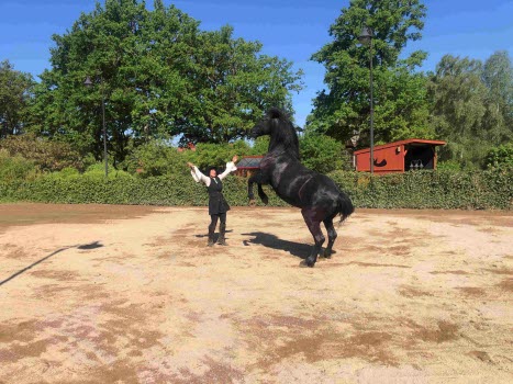 Hemlig resa Blekinge