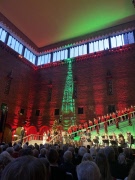 Konsert/ julbordskryssning