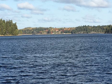 Vandring vid Dagnäsön 191004