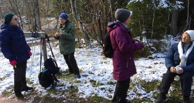 231117 Vandring i Janstorpskogen+