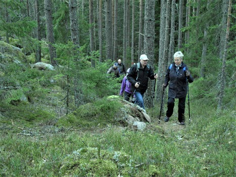 Natur- och kulturvandring