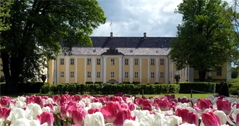 Utflykt Tulpanfestival - Gavnö Slott & Park 5 maj