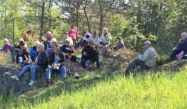 Vandring vid Dambroängen 190531