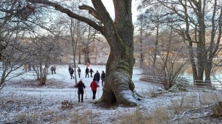 Frilufsarna slog rekord 2024