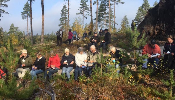 221014 Vandring runt Stavsjön
