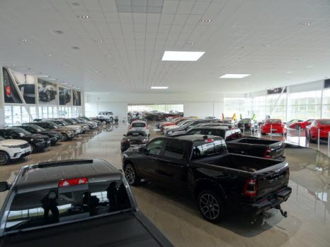 Platinum Cars