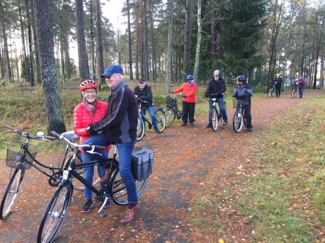 Paus i Kronoskogen