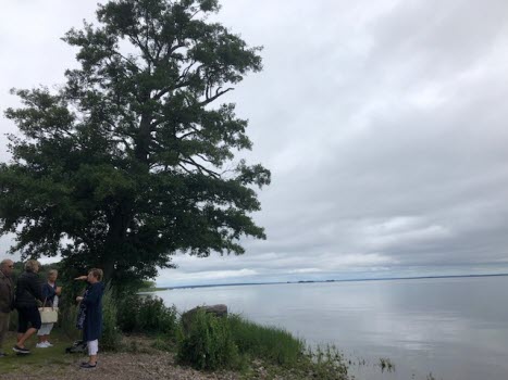 Vinön 2019-07-23