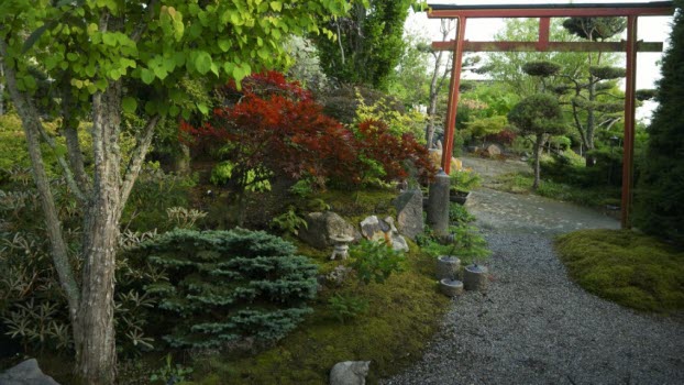 210804 Besök i japansk trädgård