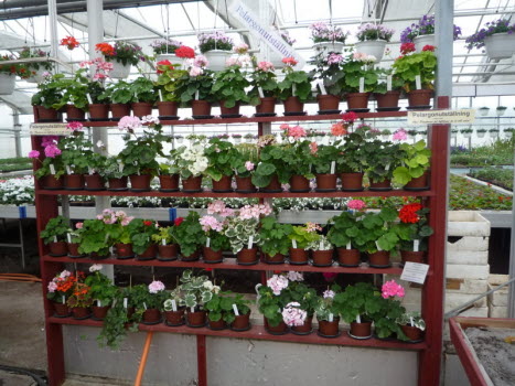 Ullprodukter