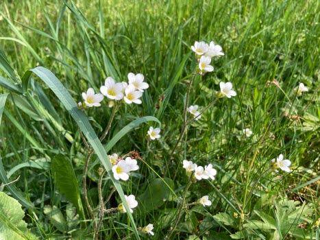 20230525 Heldagsutflykt