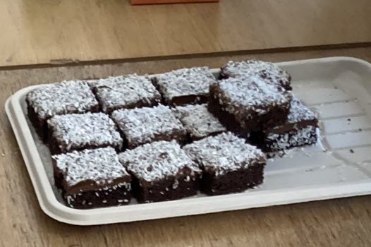 20250505 Hjärnkoll Tjureda