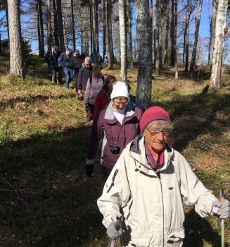 230504 Fågelskådning i Björkvik