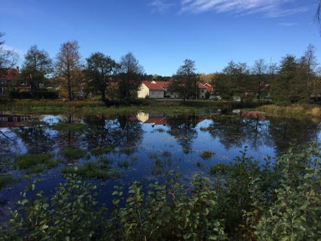 Vandring i Nävekvarn 20181019
