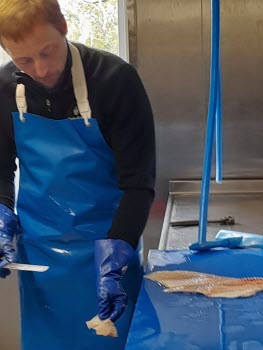 Sommenfisk