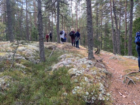 240917 Vandring vid Gälkhyttedammen Sörmlandsleden