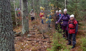 Referat från vandring 22 okt