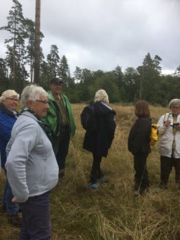Promenad i Herrängen 2017