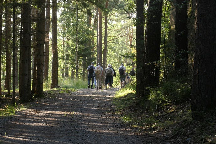 En härlig promenad i skogen