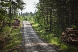 Vandring till Stormorshäll den 9 juni