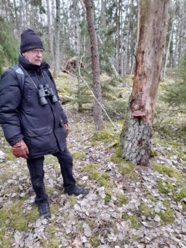 240418 Fågelskådning vid Halla