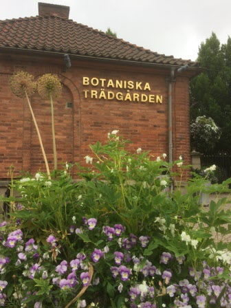 Besök på Botaniska trädgården efter lunch på Långedrags värdshus