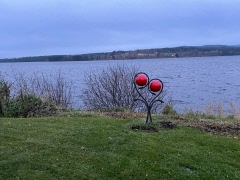 Referat från Utflykt till Pärlstigen och underhållning av Patriks Combo o Kalle Begrlund