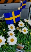 Glad Midsommar