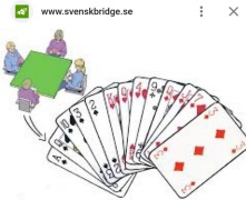 Bridgekurs 1 september