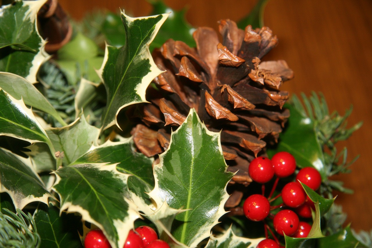 SPF Seniorerna - Julbord 5 december
