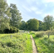 Ny promenad med frilufsarna: Från Måsta till Årbystugan
