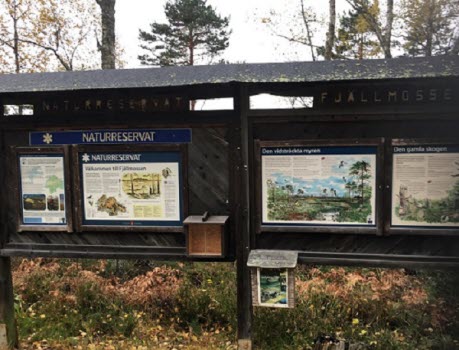 201023 Fjällmossens naturreservat